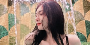 <?php the_title(); ?>