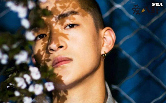 屈楚萧事件是什么, 屈楚萧为什么销声匿迹了?