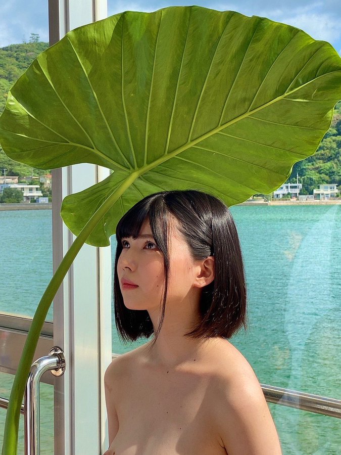 日野莉子(日野りこ)出道作品番号及封面,日野莉子个人简介