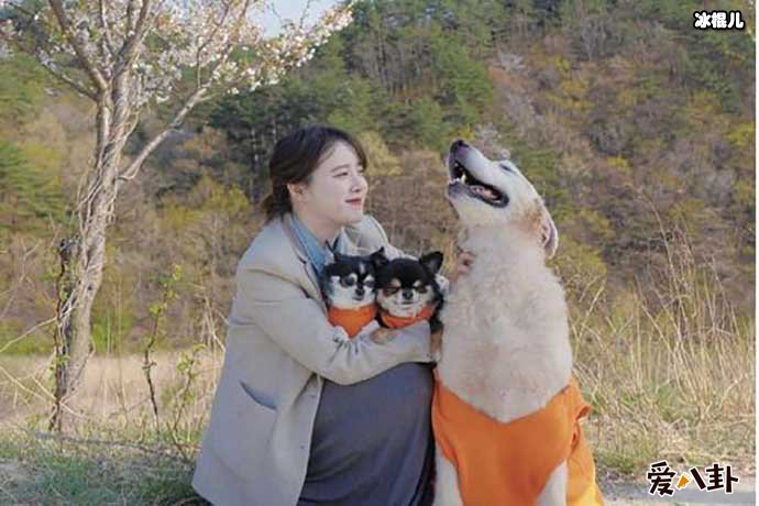 具惠善将隐退?为何与安宰贤的婚姻如此短暂?