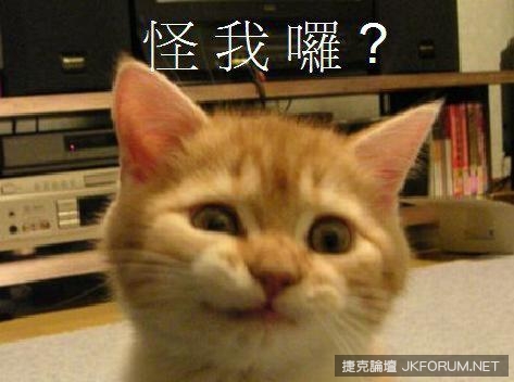 超療癒喵星人演繹人類生活　主人公快被萌翻啦