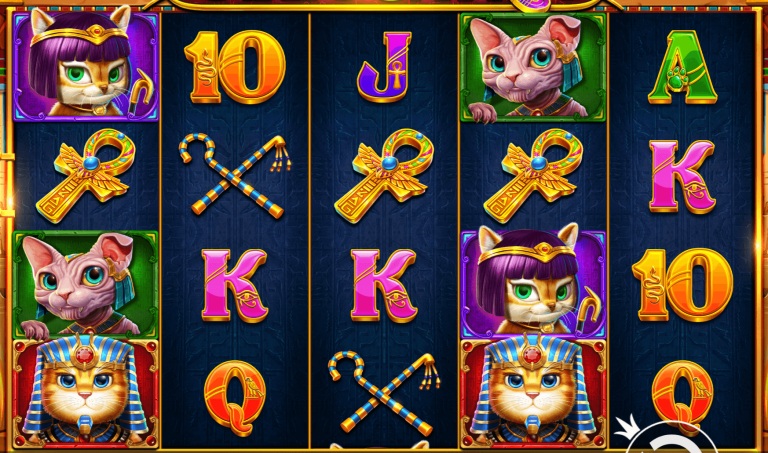 埃及神猫：探寻古埃及的未解之谜